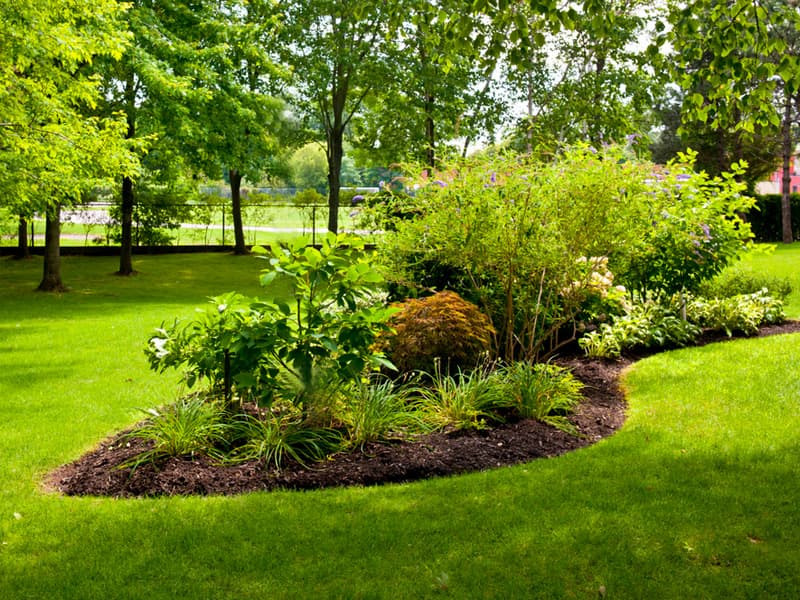 Conception de jardin